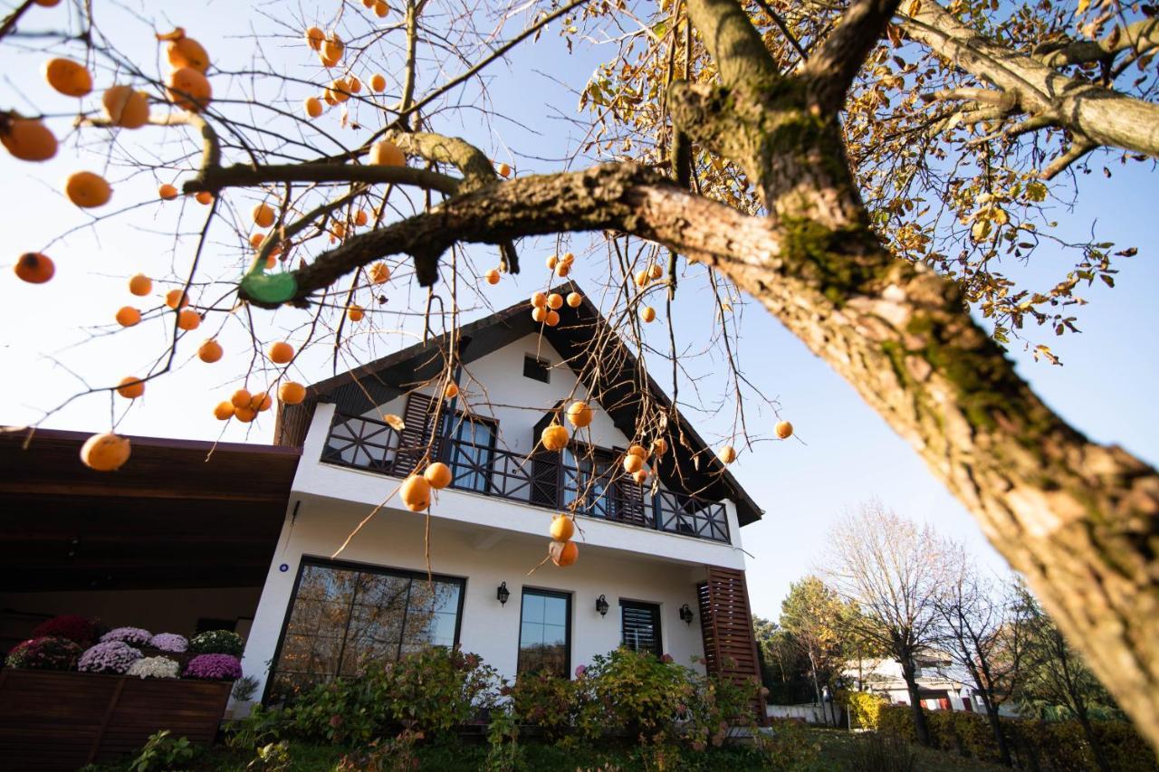 Villa Nora Butik Otel Ve Bungalov Bursa Eksteriør bilde